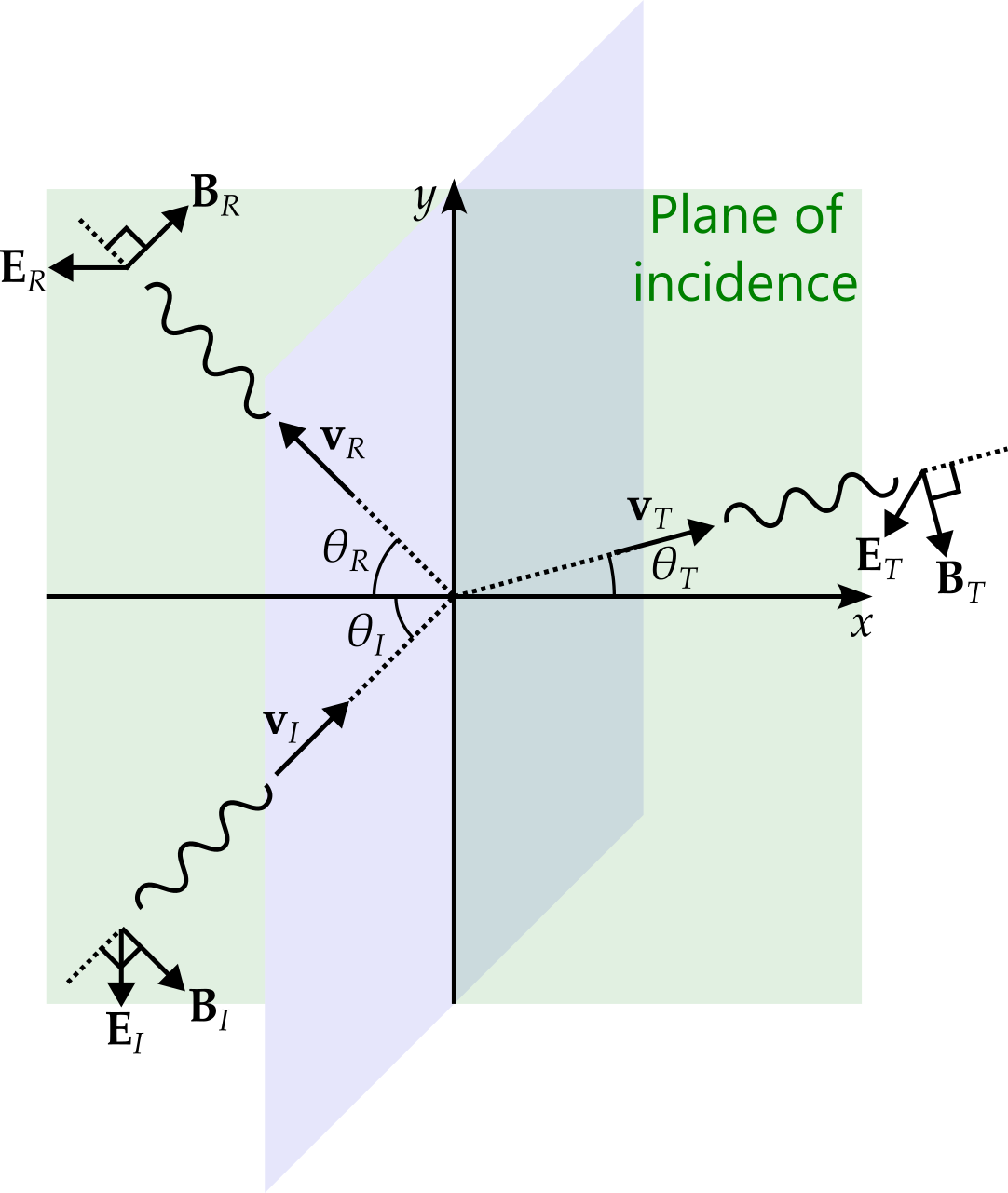 The x-axis points to the right, the y-axis upwards and the z-axis out of the page. A surface between two media is illustrated in blue in the plane of the y and z axes. The x-y plane is shaded in green and labelled as the plane of incidence. An incident wave is shown approaching the (blue) surface from the bottom left at an angle of 45 degrees (but labelled theta I). The electric component points out of the page while the magnetic component points down and to the right. The reflected wave leaves to the top left, also at an angle of 45 degrees (but labelled theta R). The electric component again points out of the page while the magnetic component points up and to the right. The transmitted wave leaves to the right and slightly upwards. (This angle is labelled as theta T.) The electric component again points out of the page, while the magnetic component points down and slightly to the right.