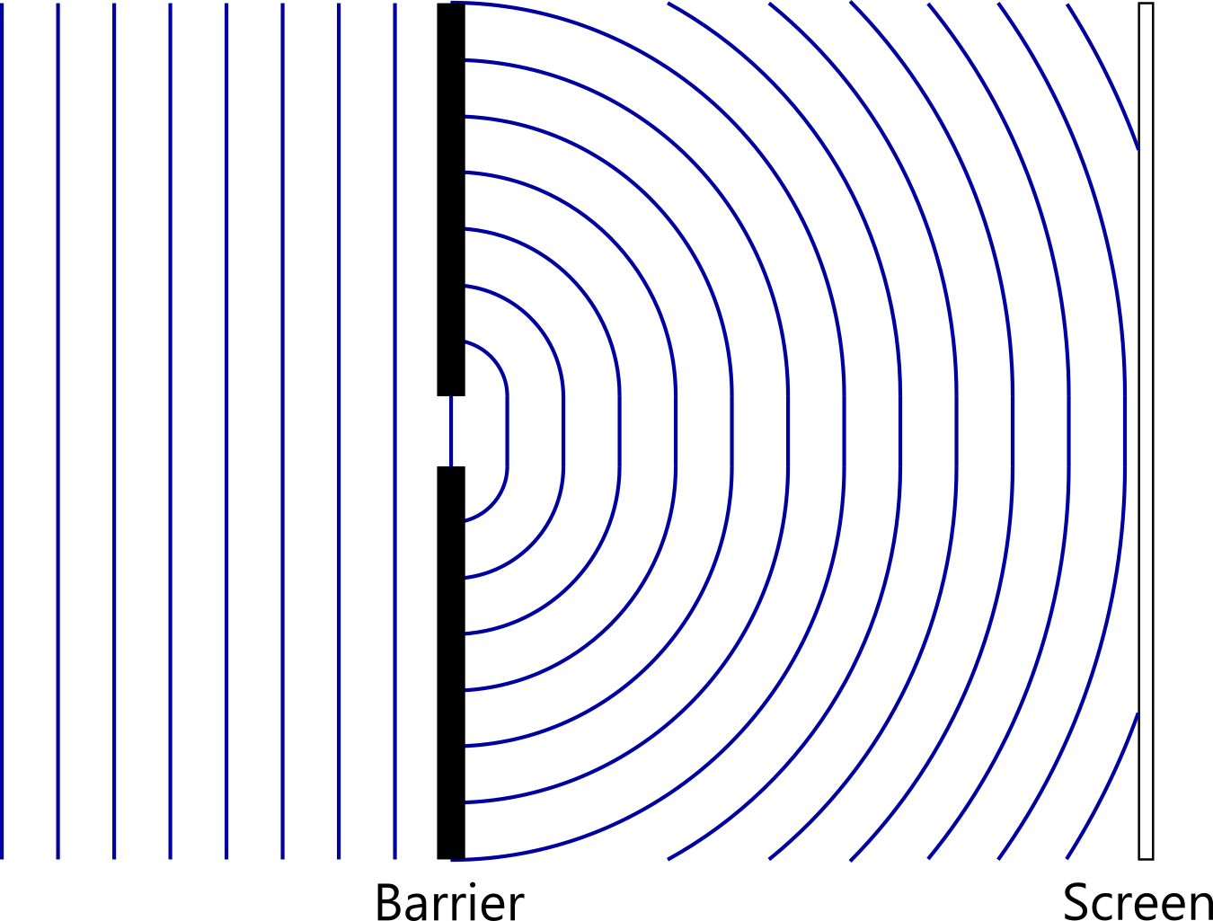 Blue vertical lines to the left of the figure indicate wave fronts approaching a barrier placed from top to bottom in the middle of the figure. The barrier has a gap, allowing roughly circular wavefronts to emanate from the aperture. A screen is placed to the right of the figure.